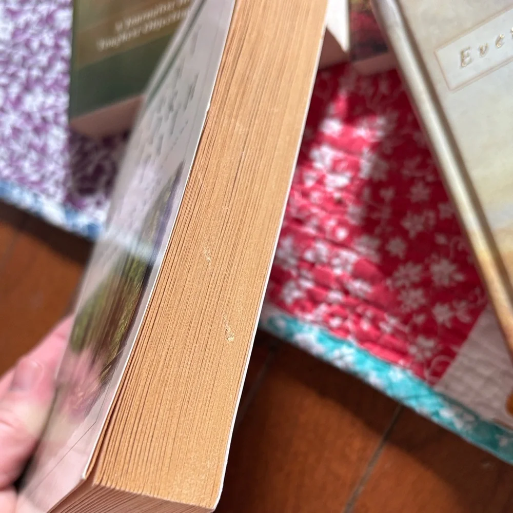 Inspirational Christian Book Collection - Picture 4 of 16